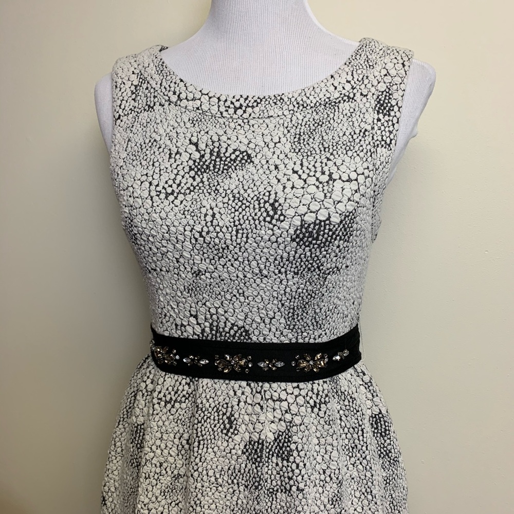 Black Swan Dress Size XS - Picture 2 of 7